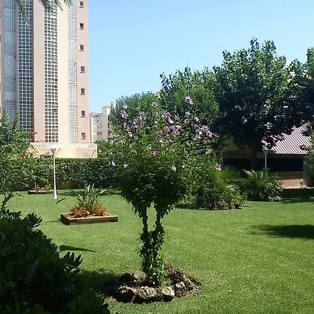 Sofia Apartmán Playa de Gandia